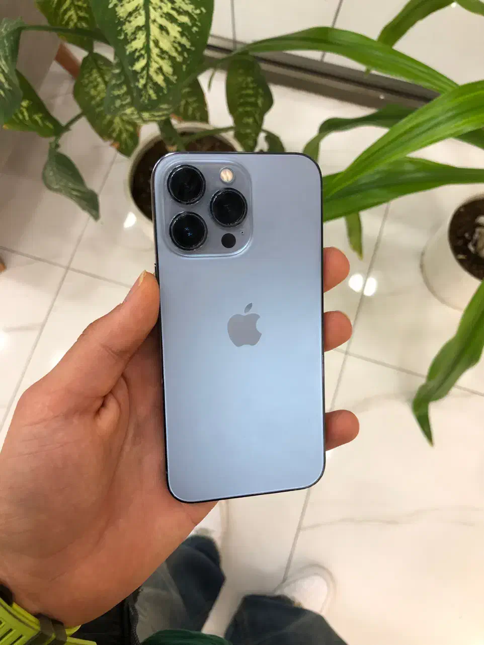 iPhone 13 Pro|موبایل|شیراز, عفیف‌آباد|دیوار