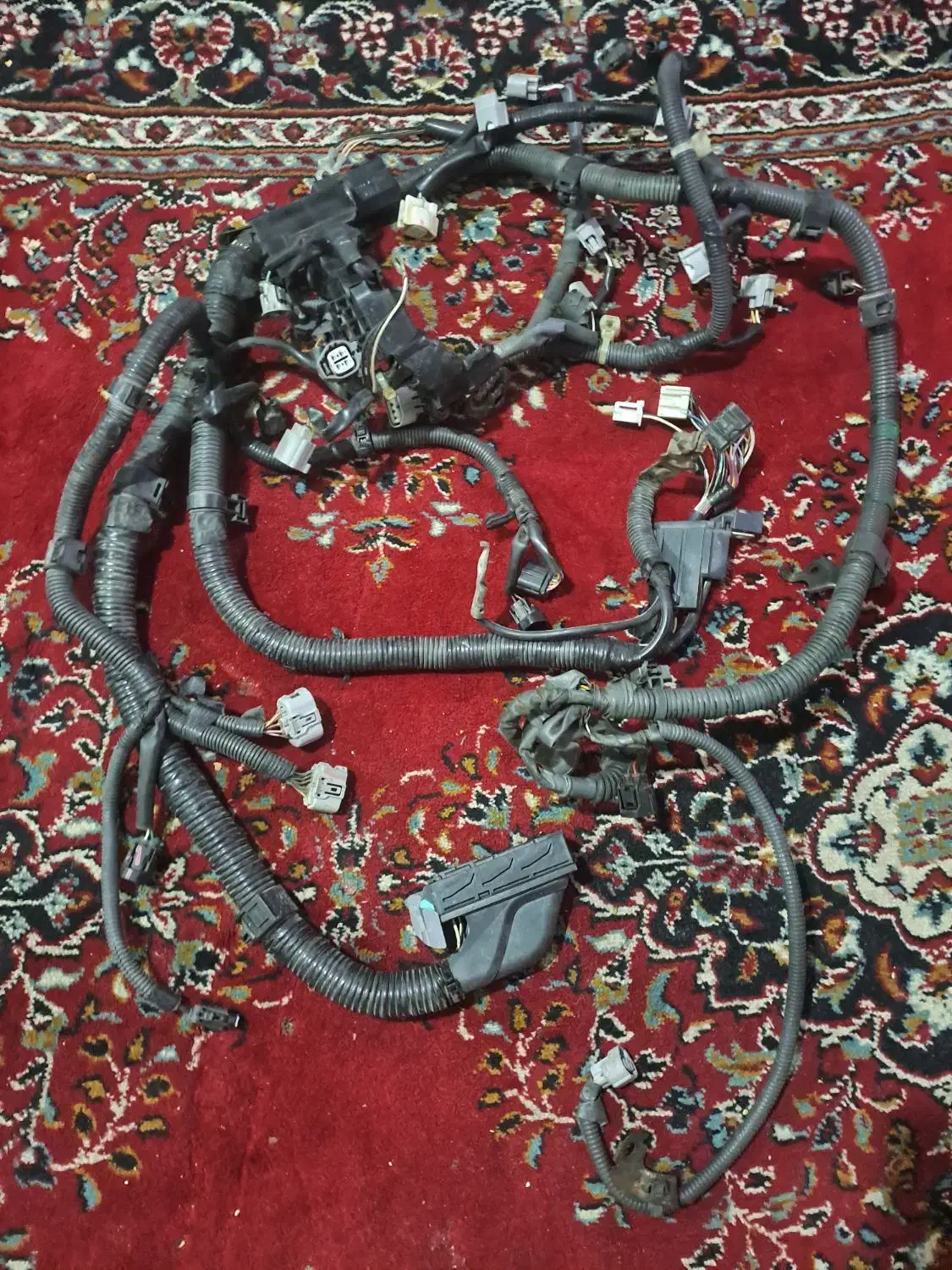 سیم کشی  روی موتور  تویوتا کمری glx اتوماتیک ۲۰۰۷|قطعات یدکی و لوازم جانبی|شیراز, شهرک والفجر|دیوار