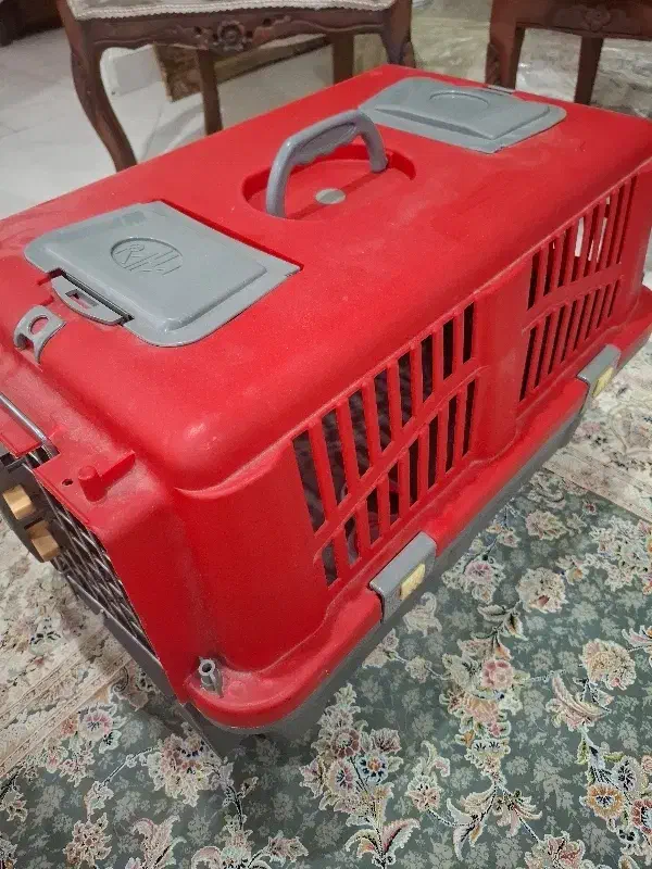 سبد نگهداری سگ|لوازم جانبی حیوانات|تهران, باشگاه نفت|دیوار