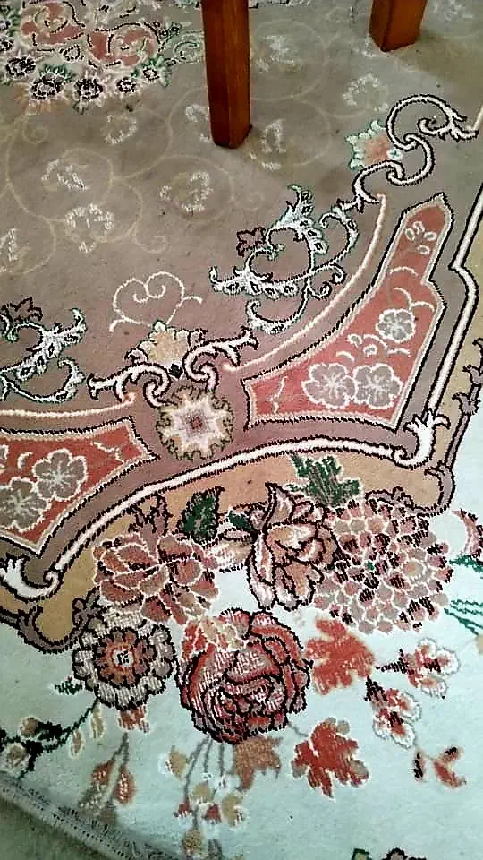 دو فرش ۱۲ و دو عدد فرش ۶متری|فرش|آستارا, |دیوار