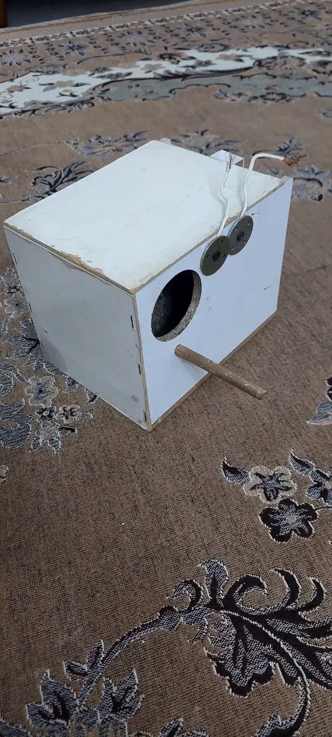 لونه طوطی(راهب برزیلی گرینچیک )|لوازم جانبی حیوانات|تهران, کرمان|دیوار