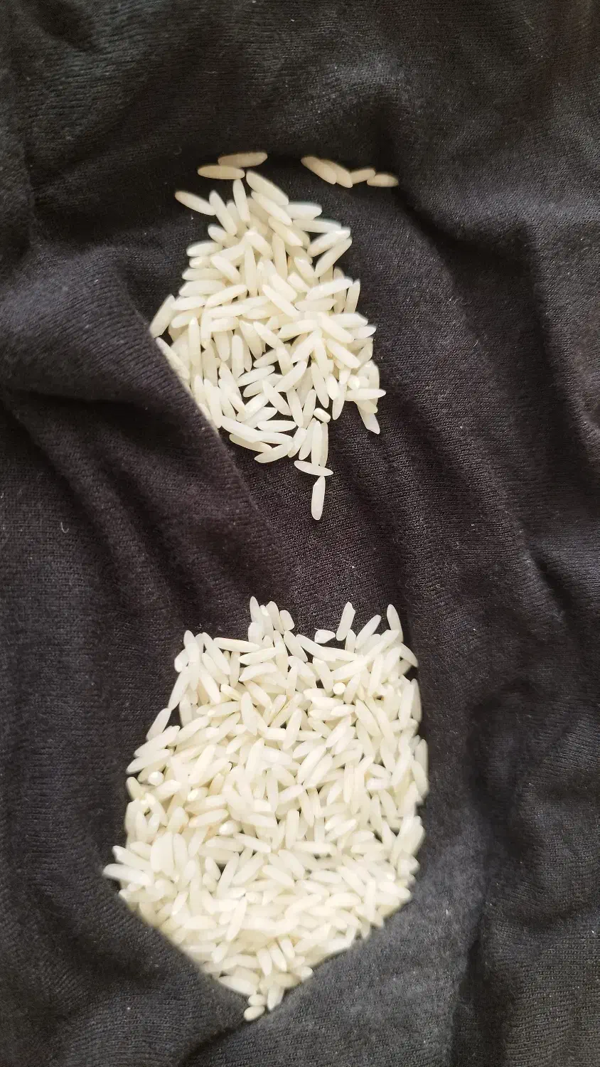 برنج طارم هاشمی دوباره کشت نوج|خوردنی و آشامیدنی|بابل, |دیوار