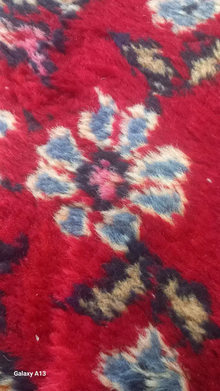 گندم|خدمات باغبانی و درختکاری|گل تپه, |دیوار