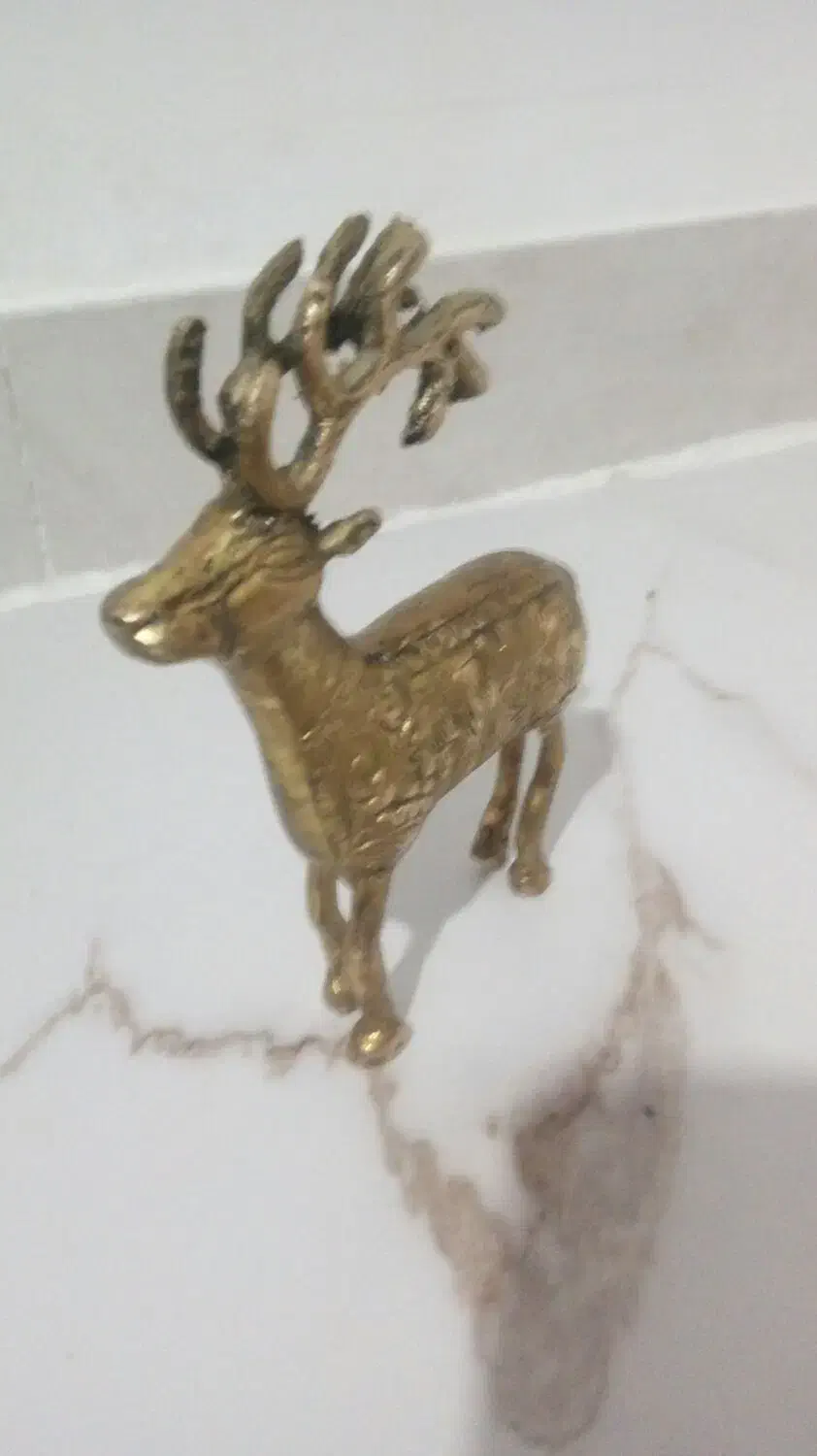 مجسمه گوزن برنجی|کلکسیون اشیاء عتیقه|شیروان (خراسان), |دیوار