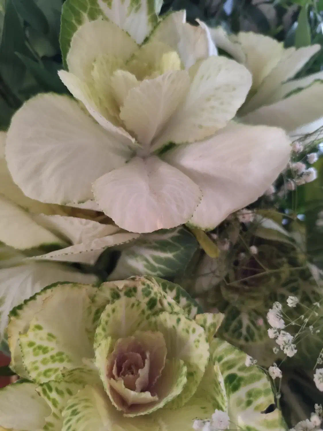 سبد گل طبیعی زیبا و شیک|گل و گیاه طبیعی|تهران, سیمای ایران|دیوار