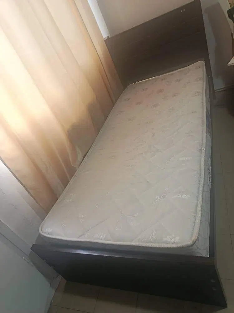 تخت|تخت و سرویس خواب|ساری, |دیوار