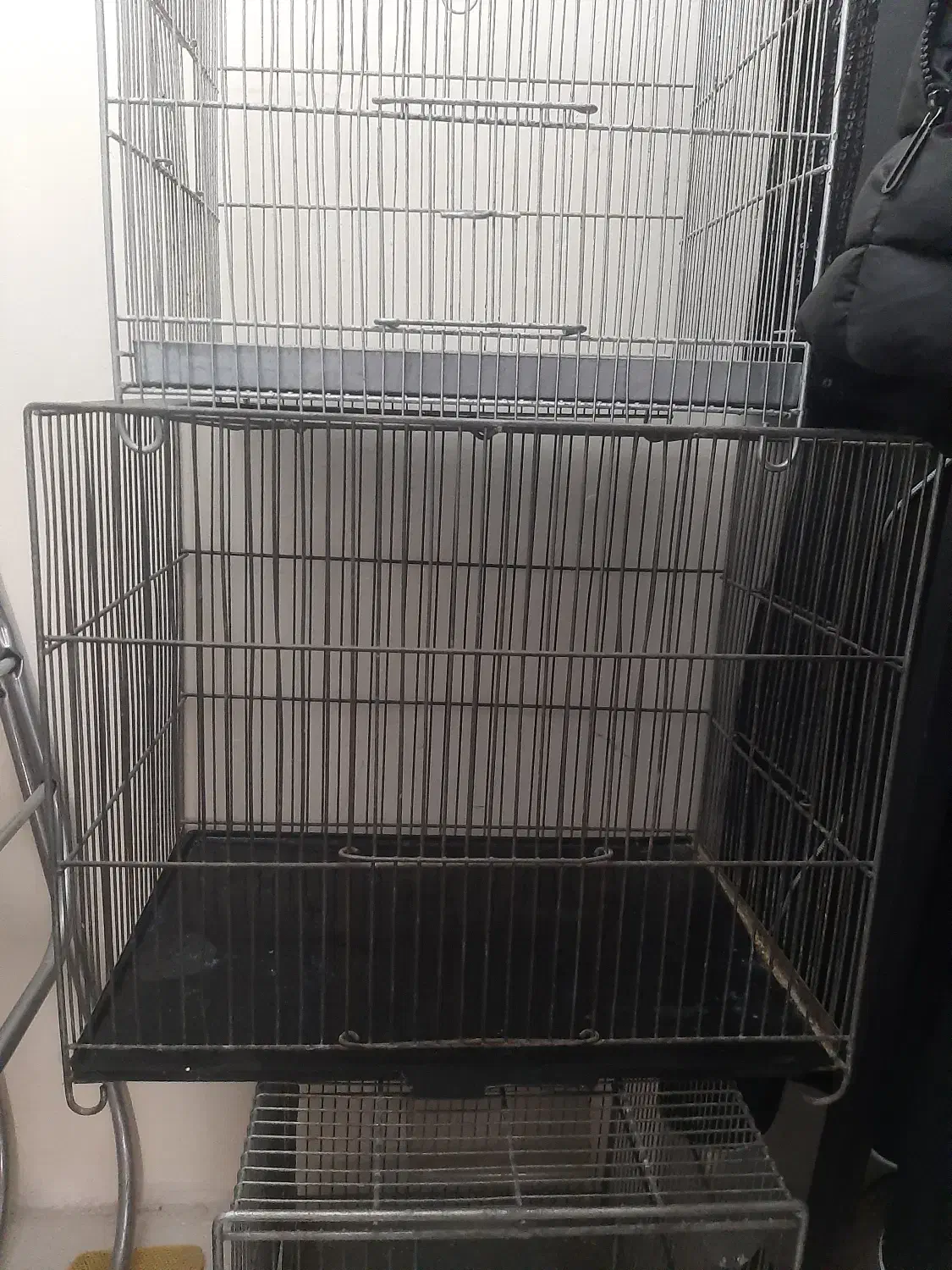 قفس پرنده|لوازم جانبی حیوانات|پردیس, فاز ۱۱|دیوار