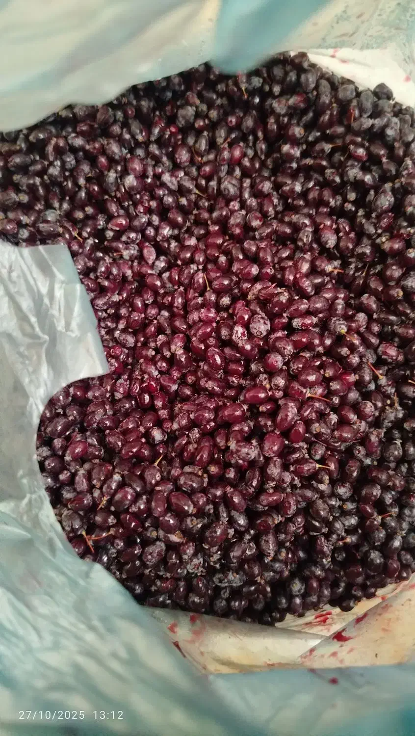 زرشک کوهی|خوردنی و آشامیدنی|رودشت (چهارمحال و بختیاری), |دیوار