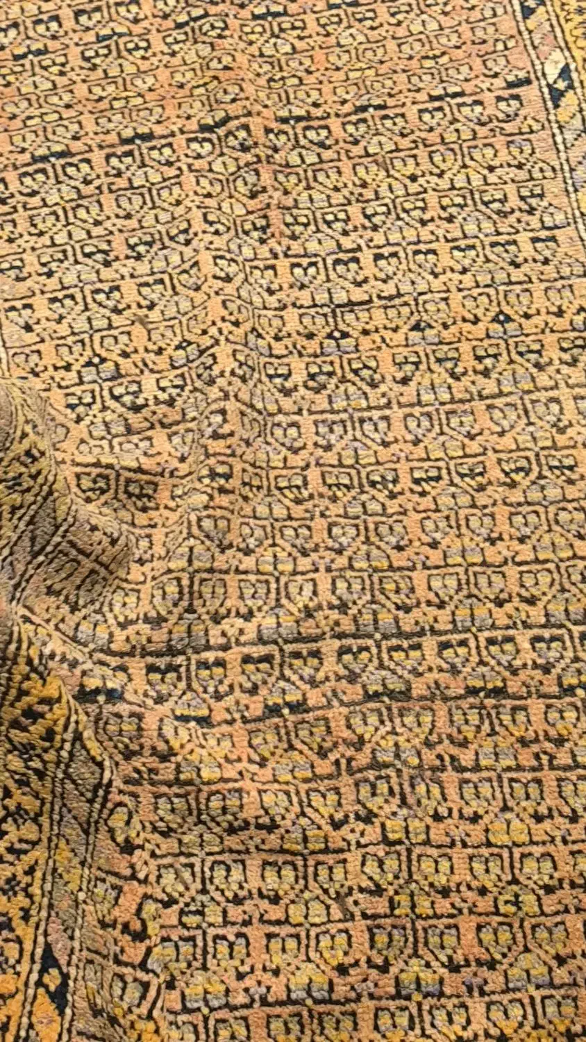 کناره دستباف|فرش|تهران, نظامی گنجوی (توانیر)|دیوار