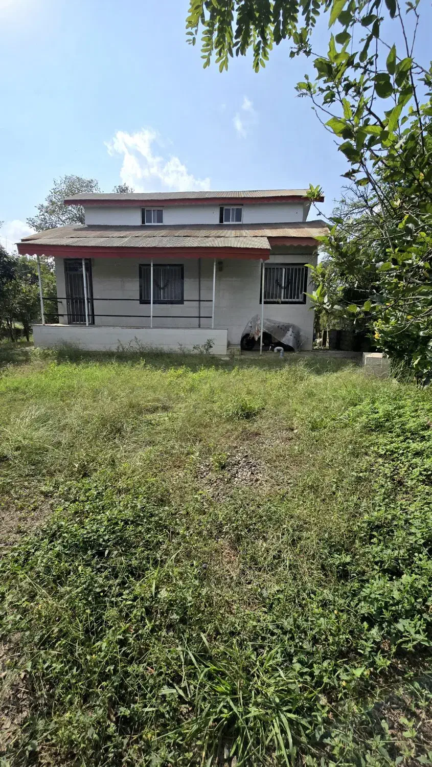 ویلای جنگلی ۳۴۰ متری /سند تک برگ/با ویو دامنه|فروش خانه و ویلا|سیاهکل, |دیوار