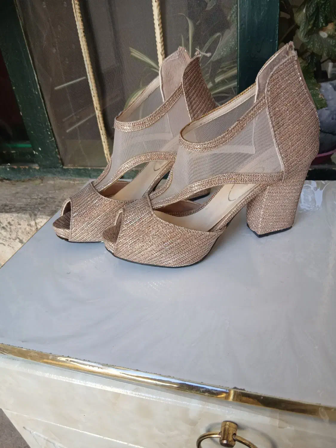 پوتین و کفش|کیف، کفش، کمربند|سقز, |دیوار