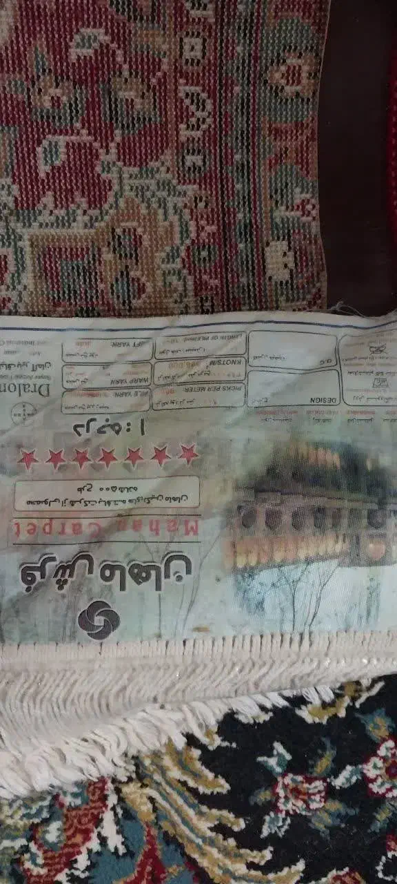 فرش ۹ متری|فرش|رودسر, |دیوار