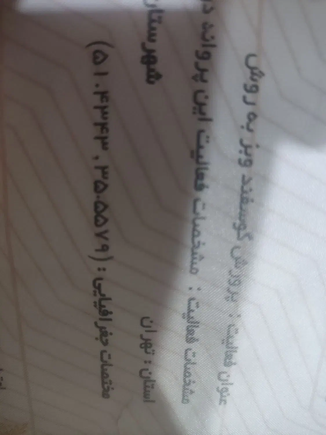 گوسفند زنده .افشار. مغان.|حیوانات مزرعه|باقرشهر, |دیوار