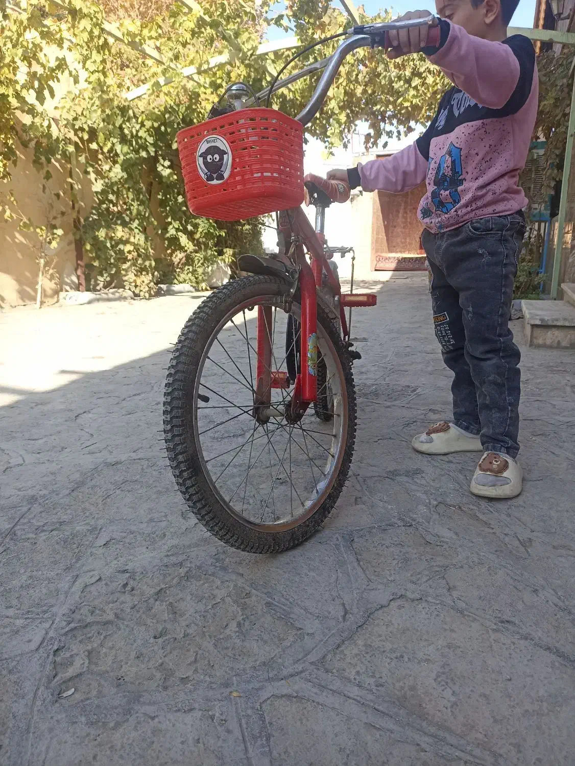 دو عدد دوچرخه جفتش باهم3تومن توضیحات بخونید|دوچرخه، اسکیت، اسکوتر|مشهد, چهاربرج|دیوار