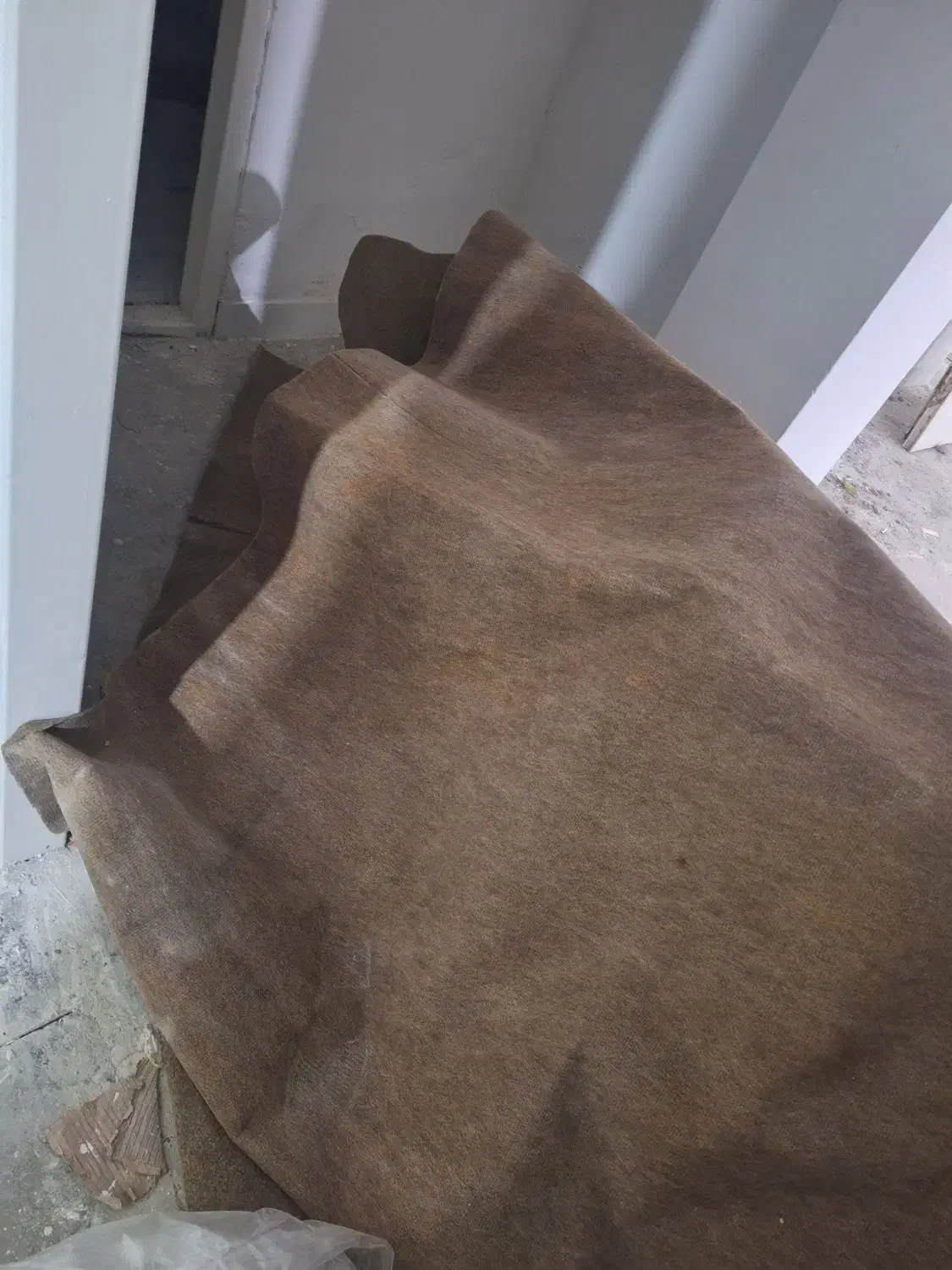 موکت سالم|موکت|گرگان, |دیوار