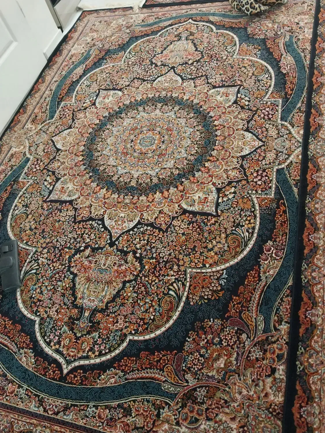 فرش ۶ متری نگین مشهد|فرش|همدان, |دیوار