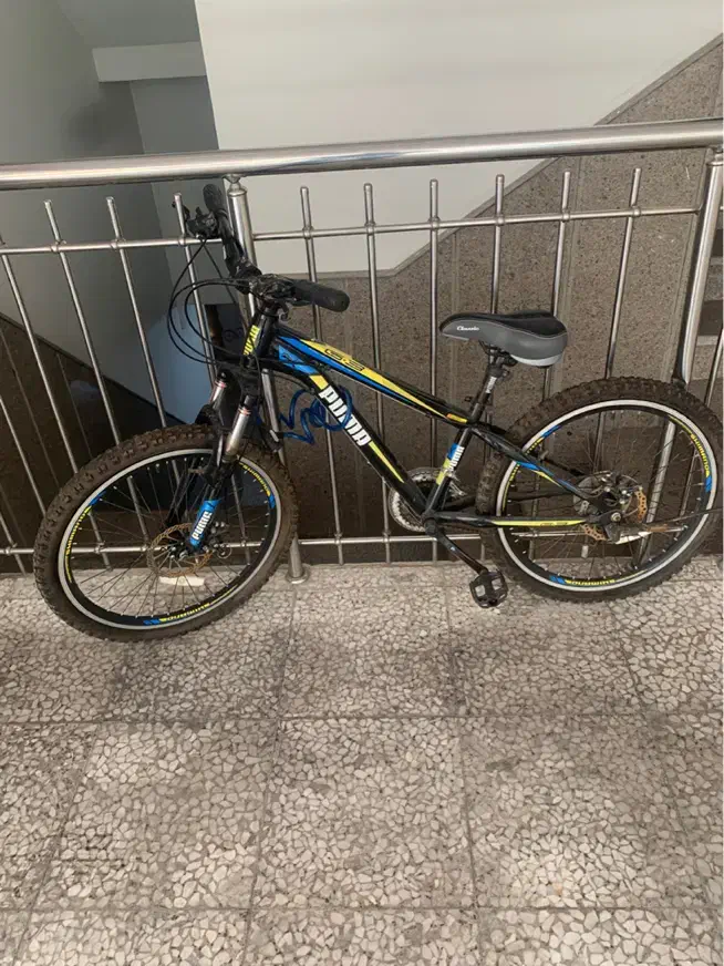 دوچرخه ۲۴|دوچرخه، اسکیت، اسکوتر|کرج, شهرک بنفشه|دیوار