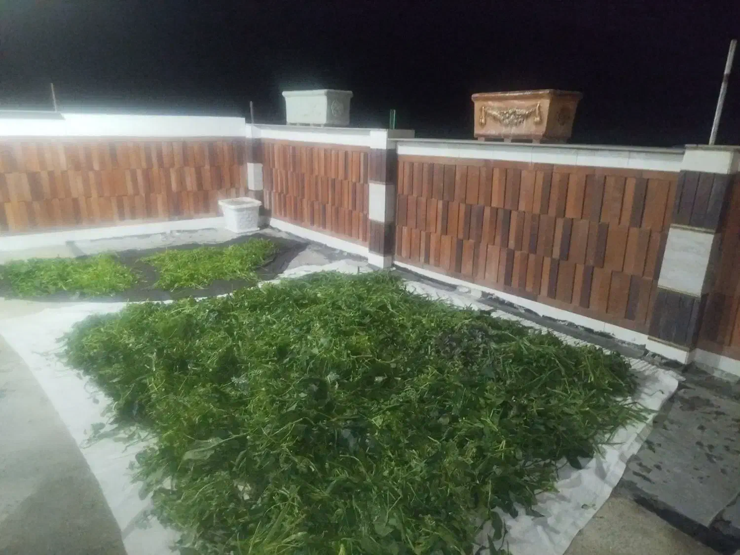 سبزی اماده|خوردنی و آشامیدنی|نهاوند, |دیوار