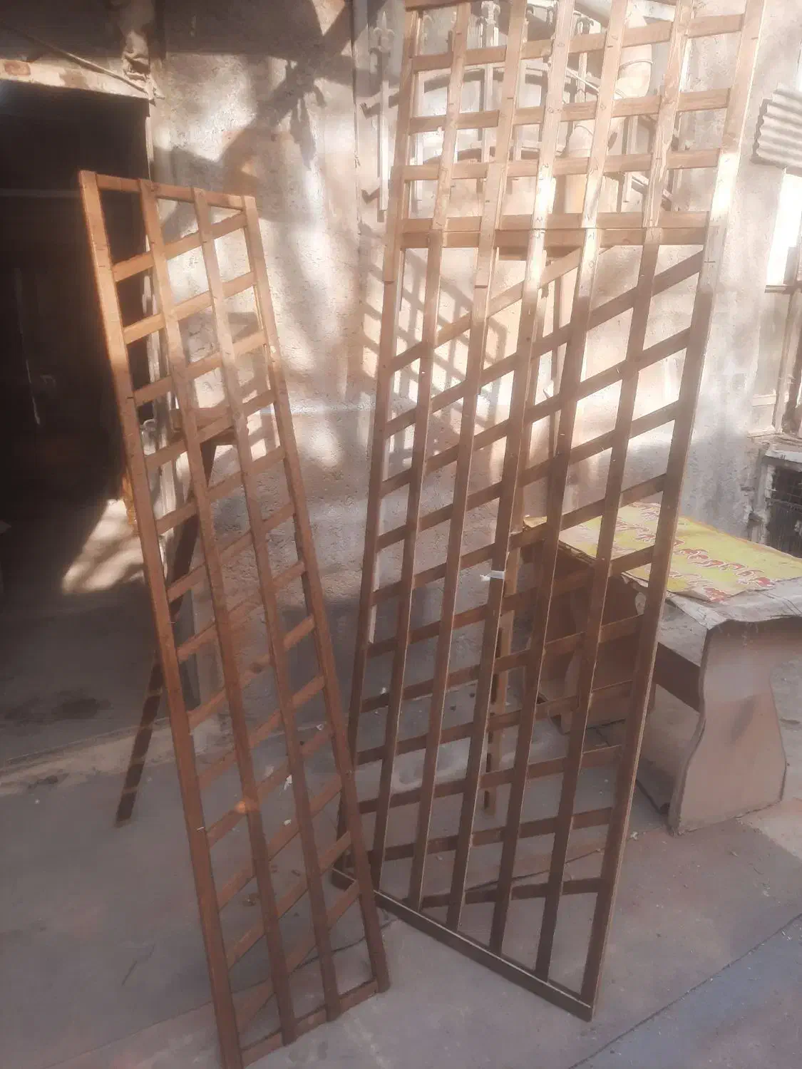 پایه گل دوعدد|گل و گیاه طبیعی|مشهد, تلگرد|دیوار