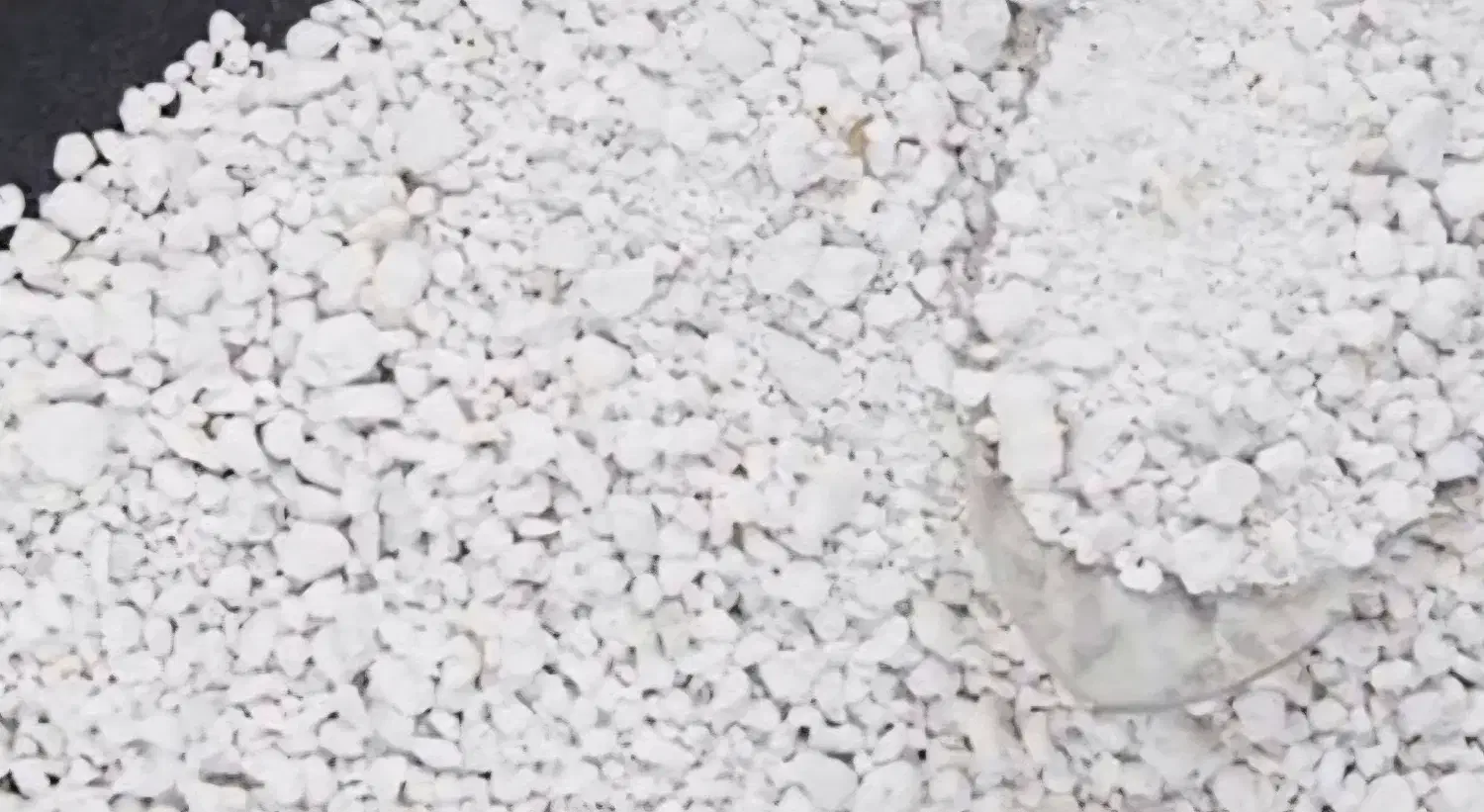 فروش کوکوپیت|گل و گیاه طبیعی|شیراز, گویم|دیوار