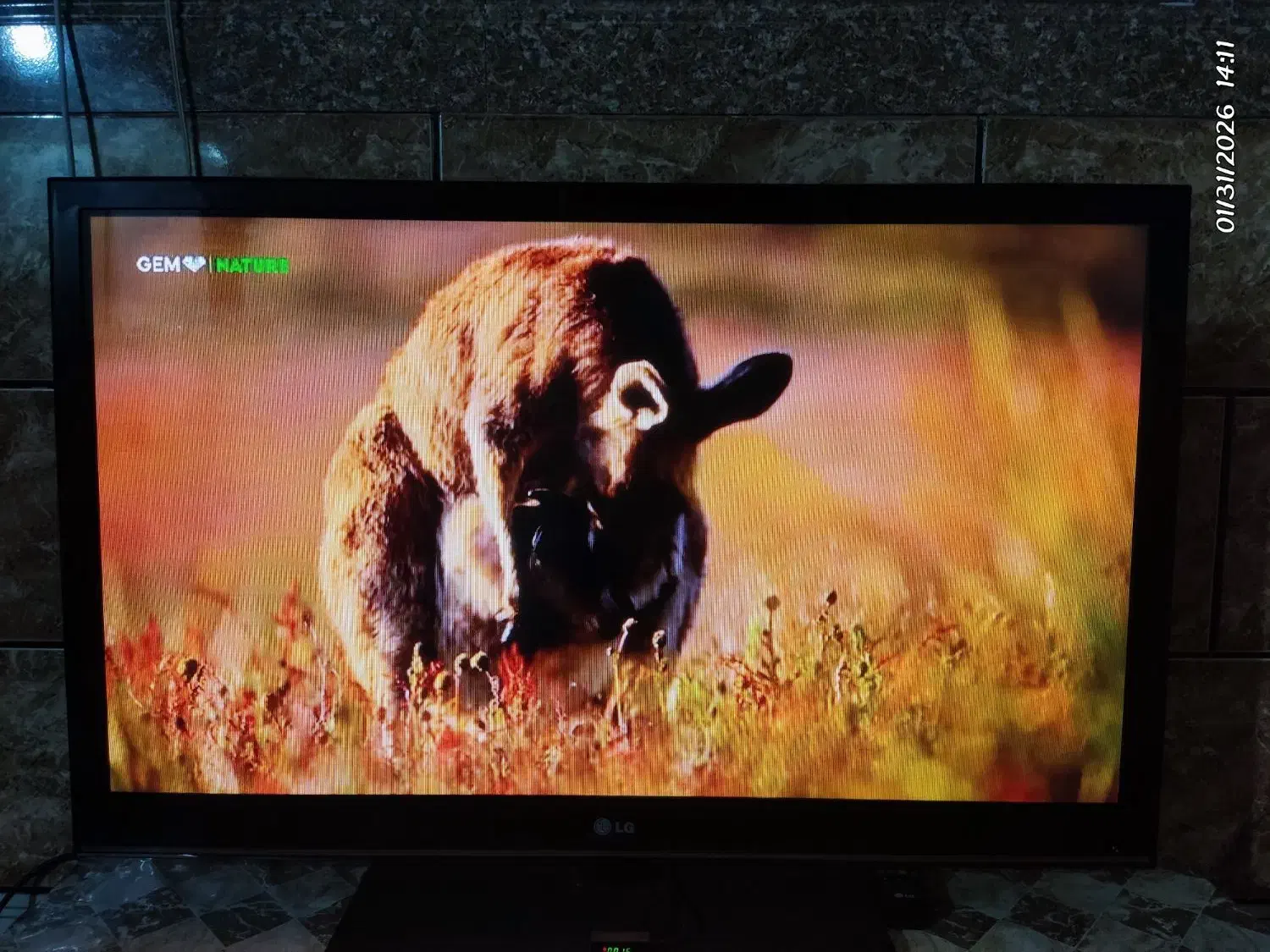 تلویزیون ال جی ۴۲ اینچ|تلویزیون و پروژکتور|درگهان, |دیوار