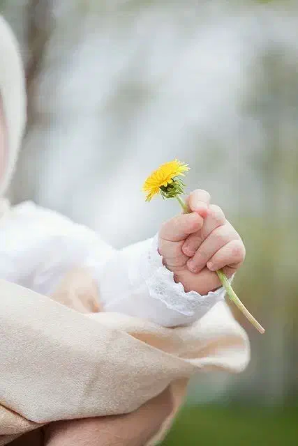 ترمیم لباسها|لباس|کرمان, |دیوار