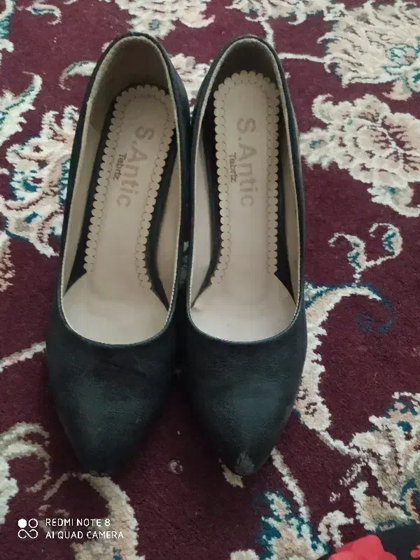 کفش درحد نو|کیف، کفش، کمربند|لردگان, |دیوار