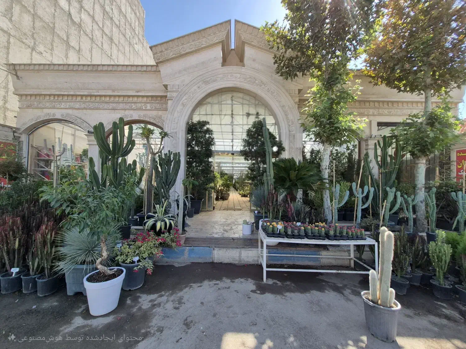 گل و گیاه طبیعی|گل و گیاه طبیعی|پاکدشت, پاکدشت (مامازند)|دیوار