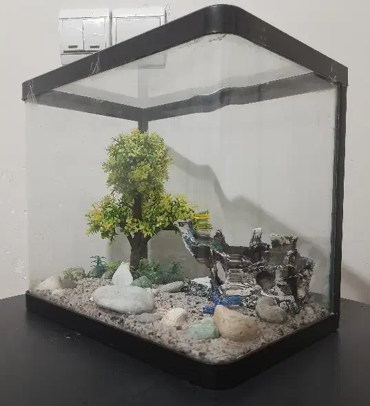 آکواریوم شیشه خم|ماهی|تهران, کاج|دیوار