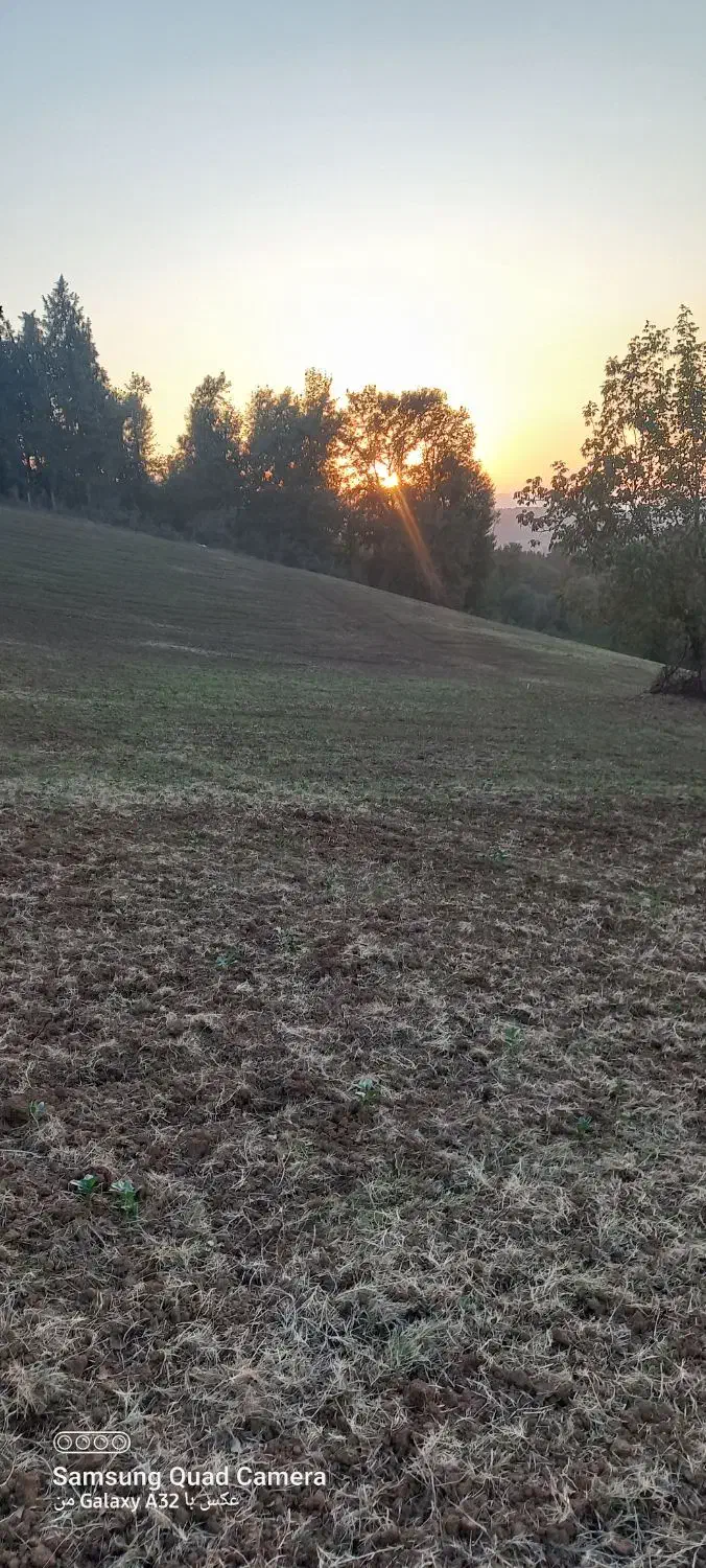 ۲ هکتار زمین دیم|فروش دفتر صنعتی، کشاورزی، تجاری|خان ببین, |دیوار