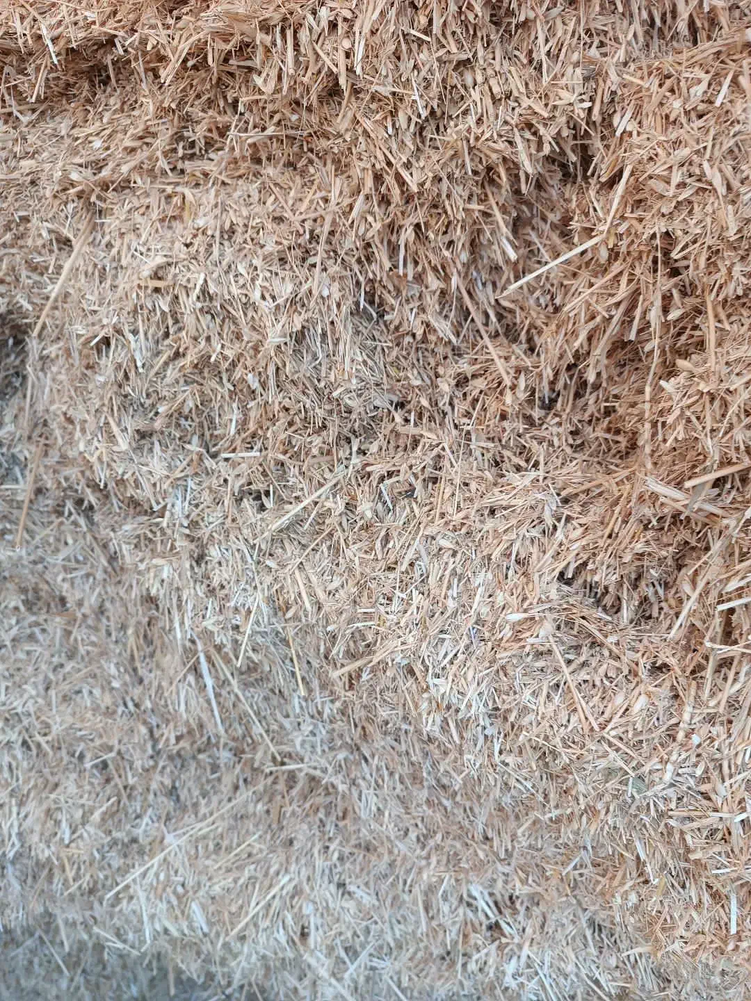 کاه گندم دیم|عمدهفروشی|قشلاق دشت, |دیوار