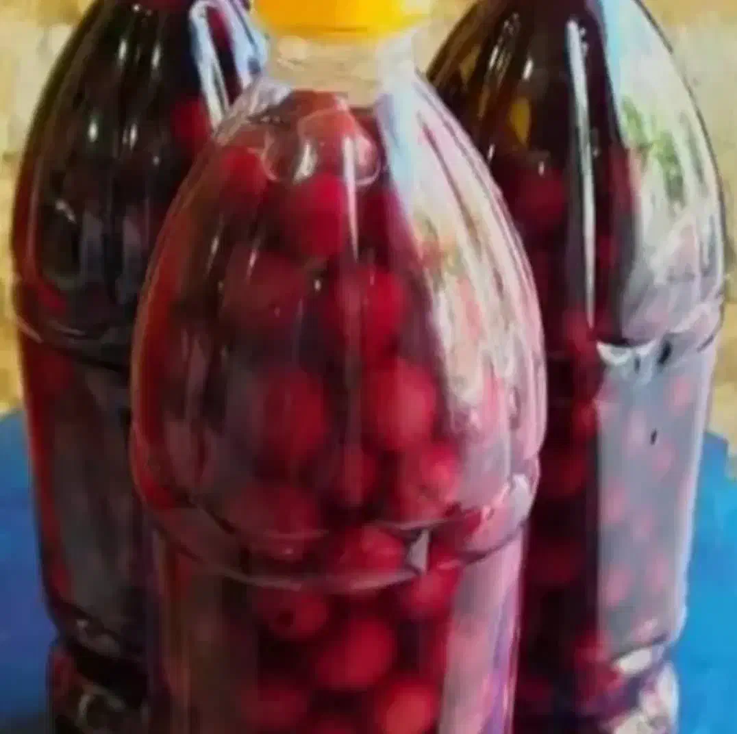 ترشی البالو|خوردنی و آشامیدنی|اصفهان, لاله|دیوار