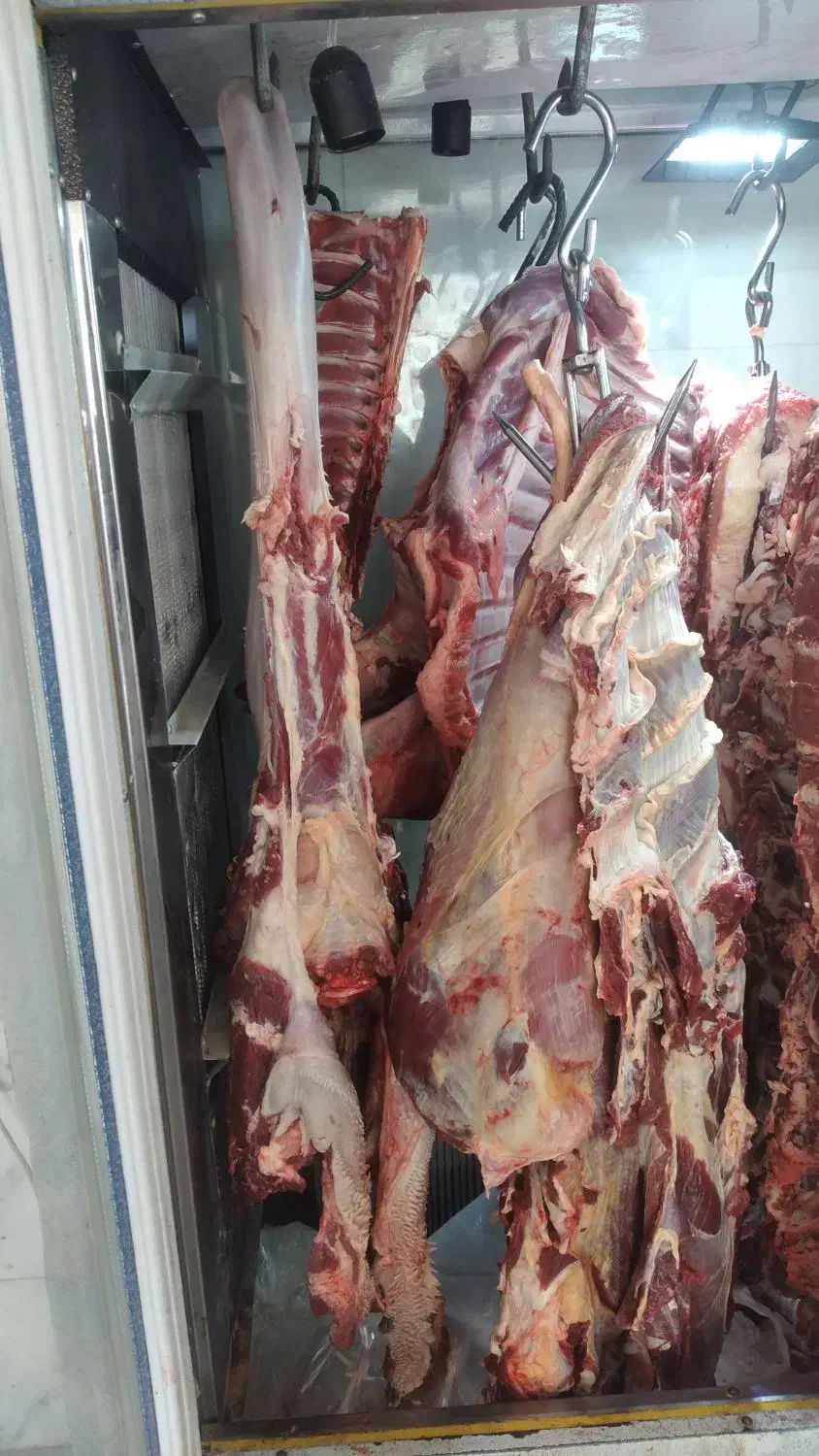فروش ۲عدد یخچال قصابی و سوپر مارکت با چرخ گوشت|فروشگاه و مغازه|کنگاور, |دیوار
