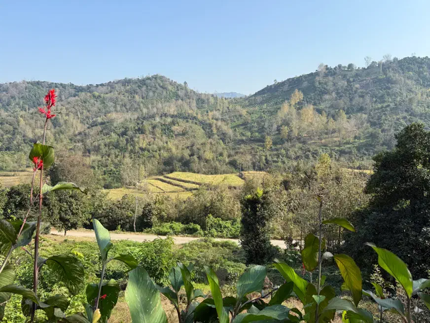 زمین مسکونی|فروش زمین و ملک کلنگی|املش, |دیوار