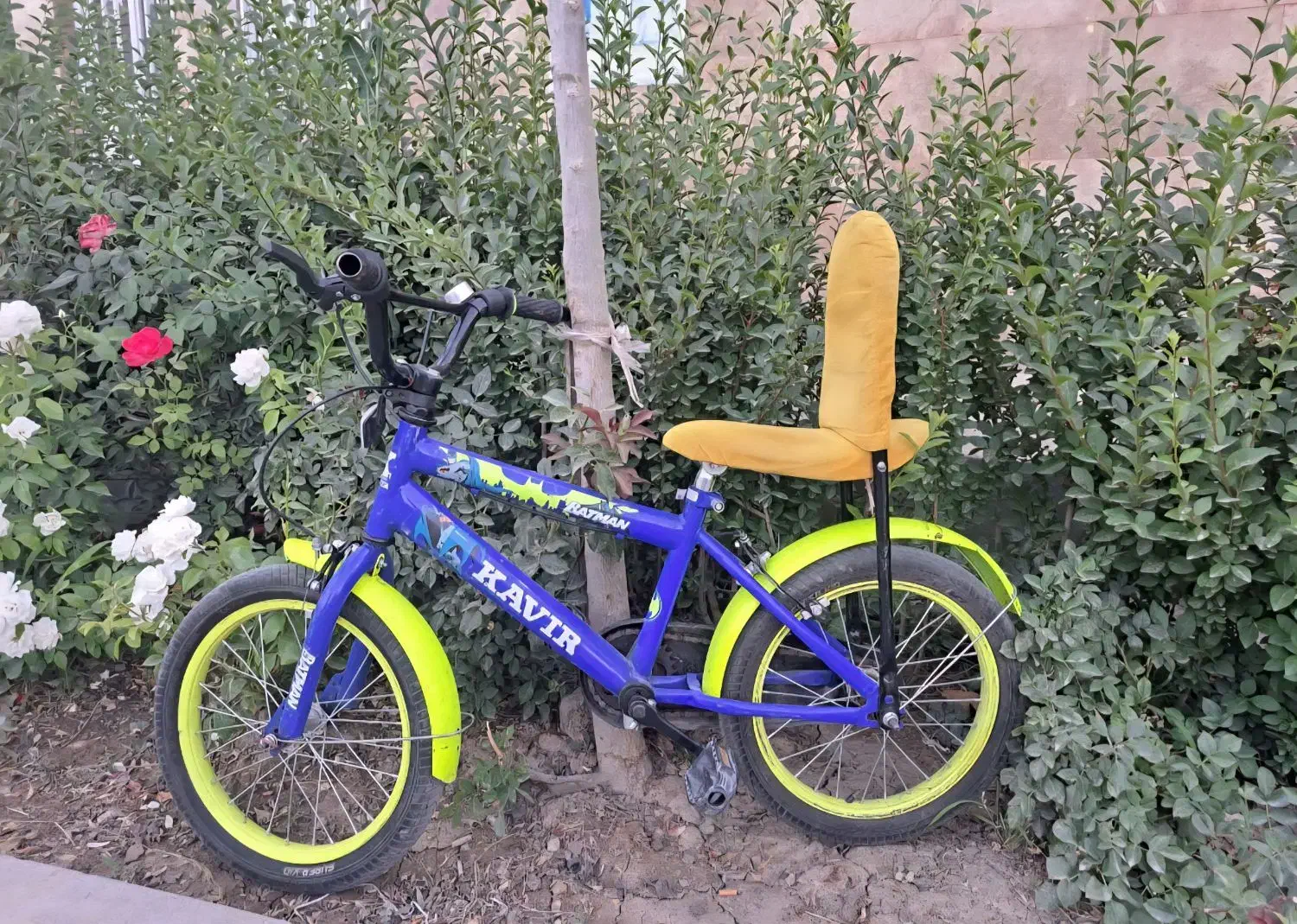 دوچرخه|دوچرخه، اسکیت، اسکوتر|فردیس, نگارستان|دیوار