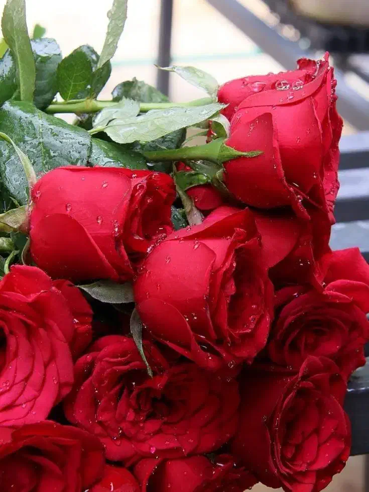 دسته گل عروس|گل مصنوعی|داراب, |دیوار