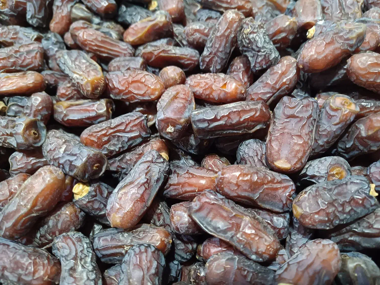 فروش خرما پیارم درجه یک عمده|عمده‌فروشی|شهریار, شهرک شاهد|دیوار