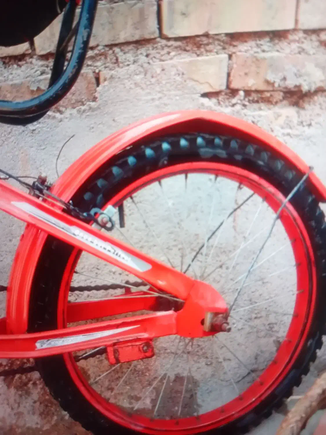 دوچرخه۲۰|دوچرخه، اسکیت، اسکوتر|کارون, |دیوار