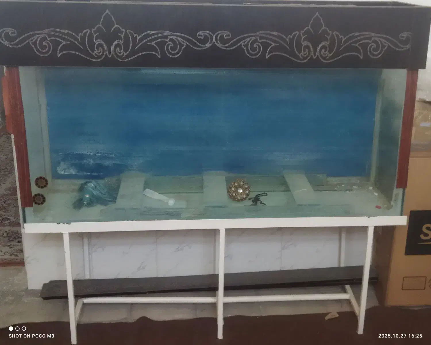 اکواریوم بزرگ|ماهی|فسا, |دیوار