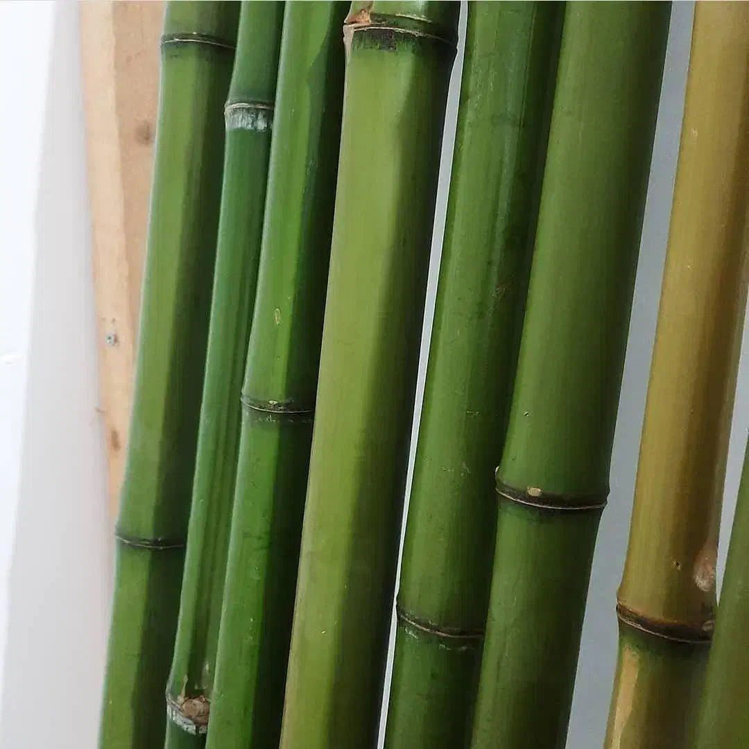 نی بسته ای|سازهای بادی|گرگان, |دیوار