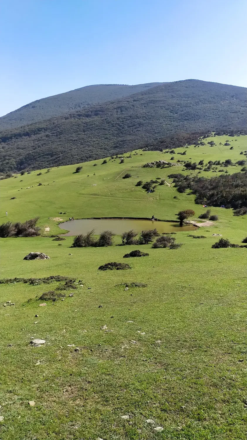 لیدر گیلانگردی|تور و چارتر|رشت, گیل|دیوار