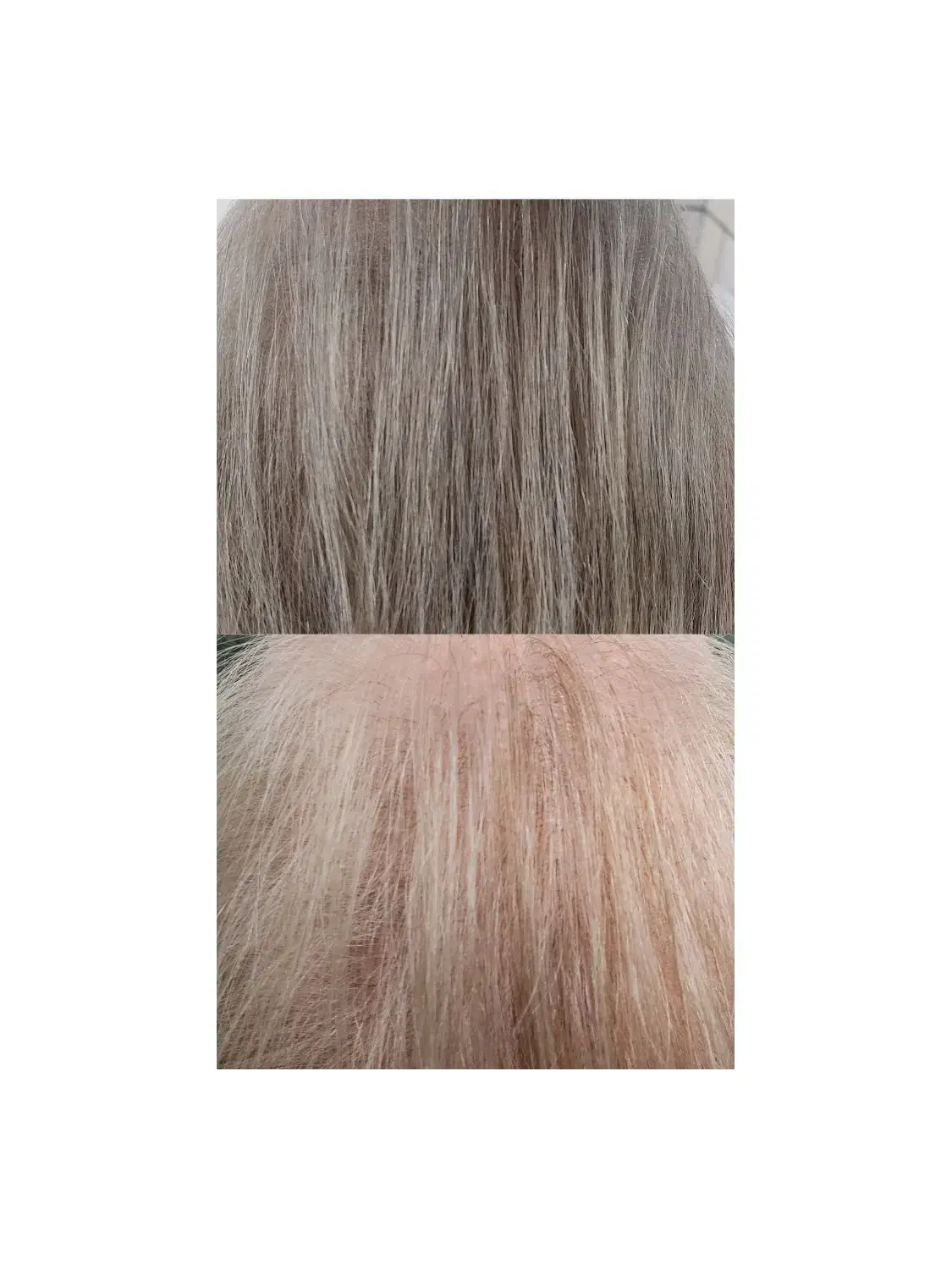 با تکنیک میکرواسکالپ،کم پشتی مو دیگه دیده نمیشه|خدمات آرایشگری و زیبایی|شاهین‌شهر, فردوسی|دیوار