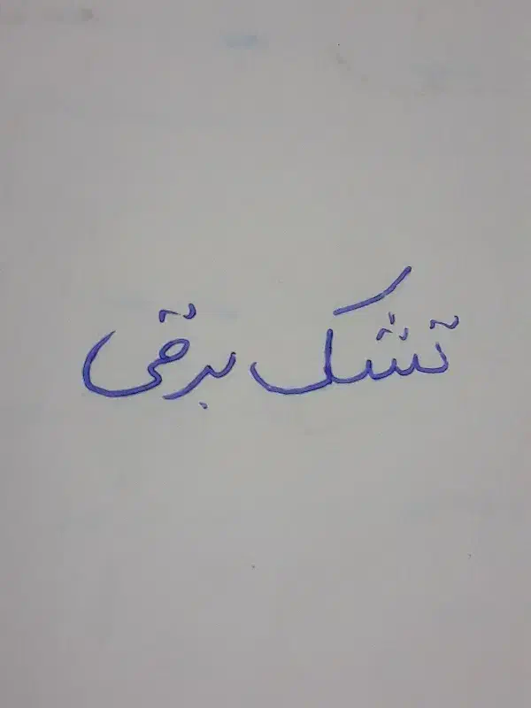 تشک برقی|آرایشی، بهداشتی، درمانی|رحیم‌آباد, |دیوار