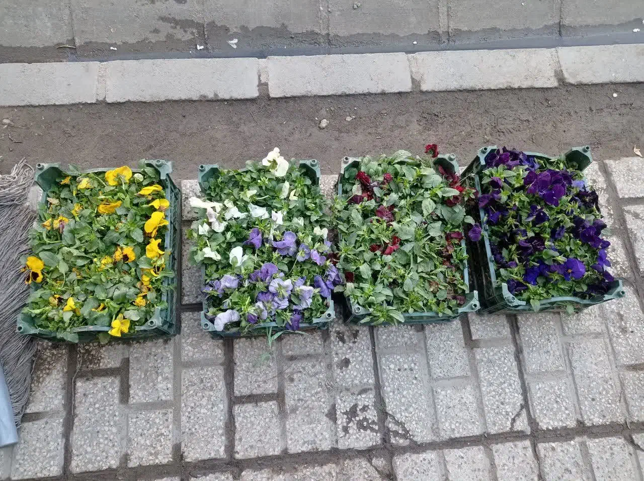 آنلاین|کنسول، بازی ویدئویی و آنلاین|مشهد, گلشور|دیوار