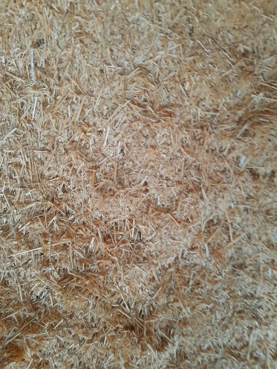 کاه گندم|خدمات باغبانی و درختکاری|فرمهین, |دیوار