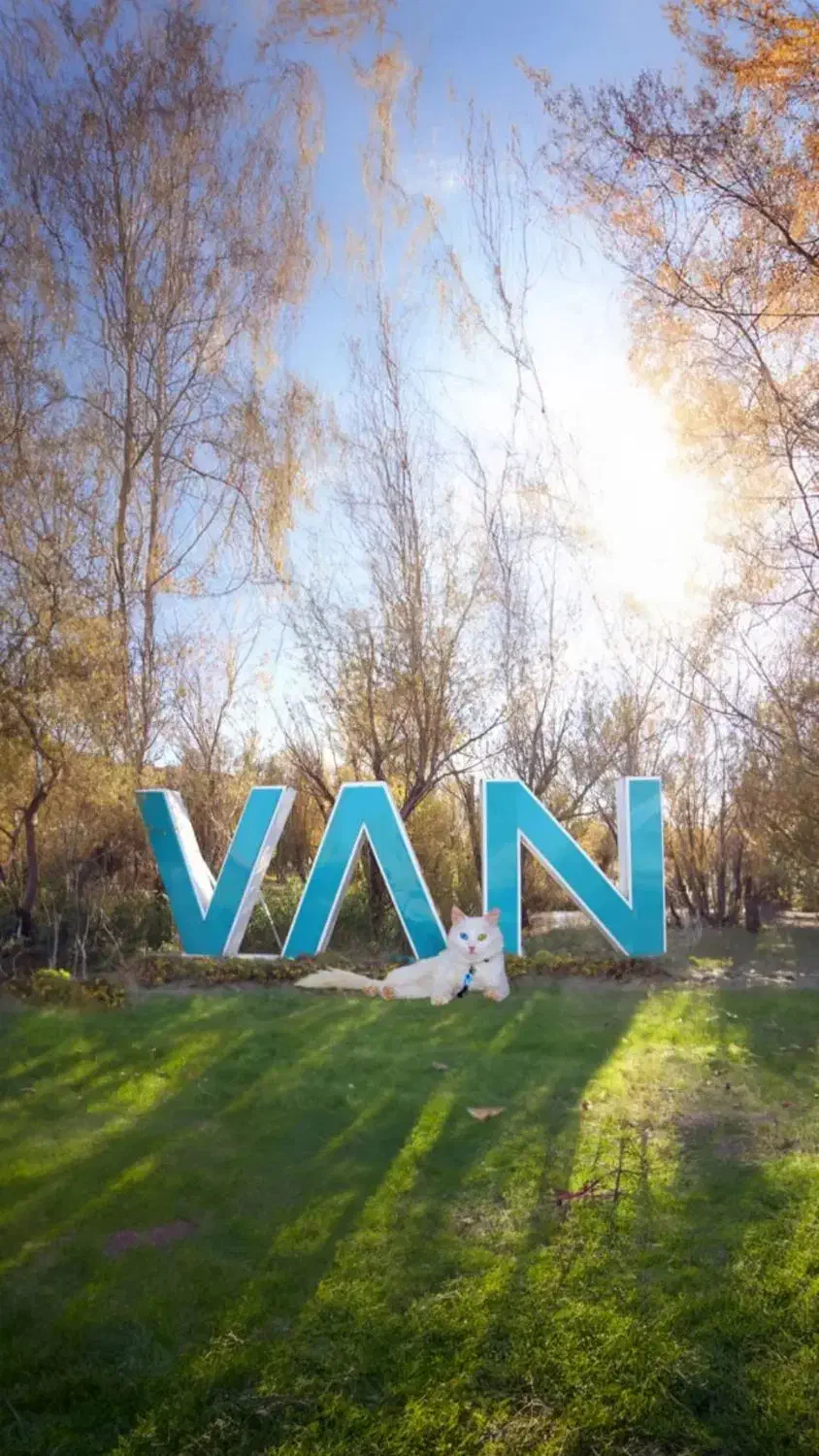 تور وان گروهی شب یلدا|تور و چارتر|ارومیه, |دیوار