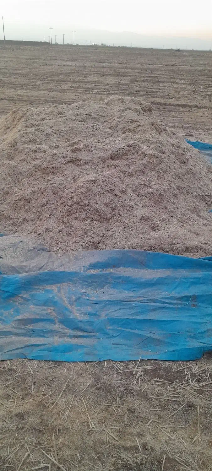 فروش کاه کاهکوب مناسب و تمیز|عمده‌فروشی|تربت جام, جامرود|دیوار