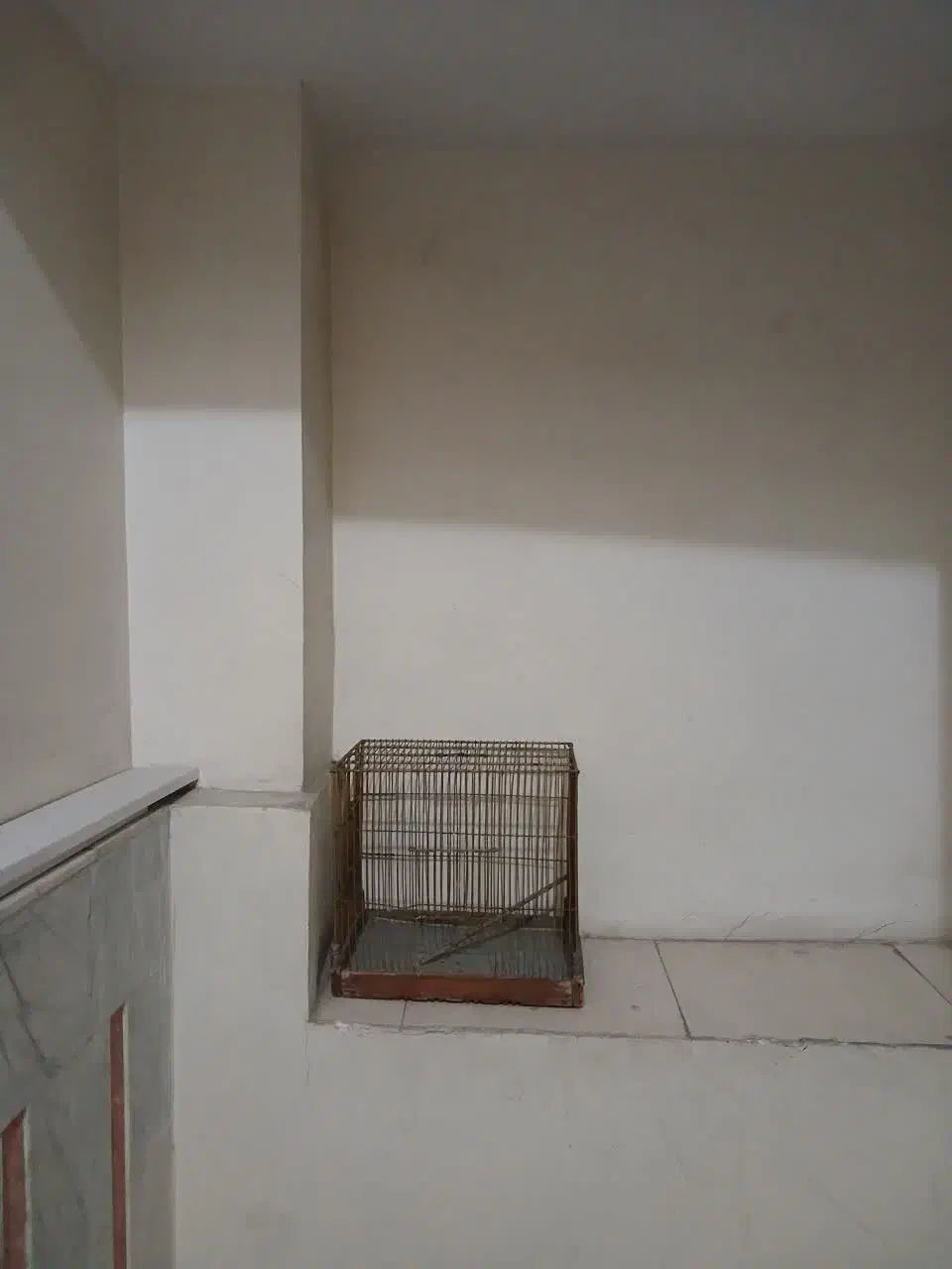 قفس و لانه پرنده سالم در حد|لوازم جانبی حیوانات|تهران, وحیدیه|دیوار
