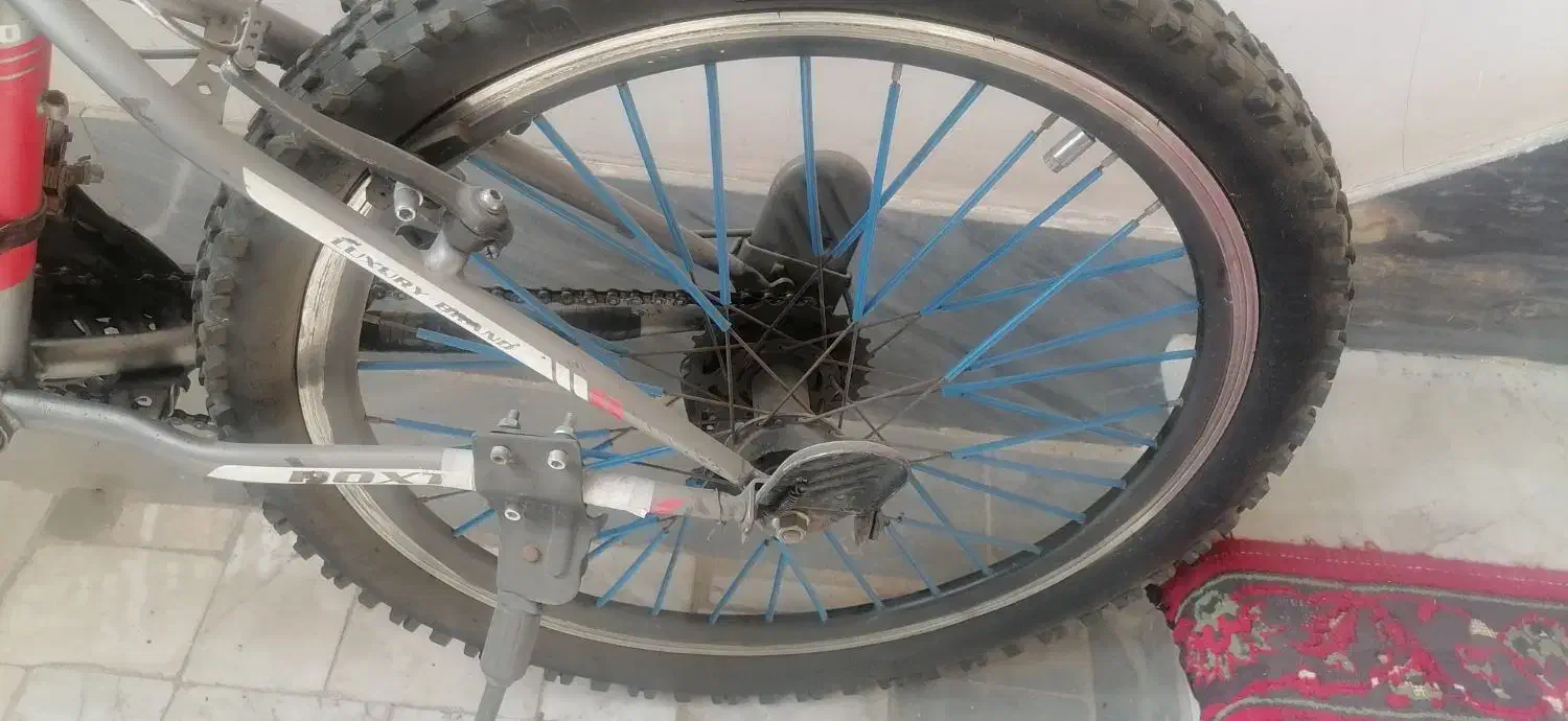 دوچرخه|دوچرخه، اسکیت، اسکوتر|قم, انصار‌الحسین|دیوار