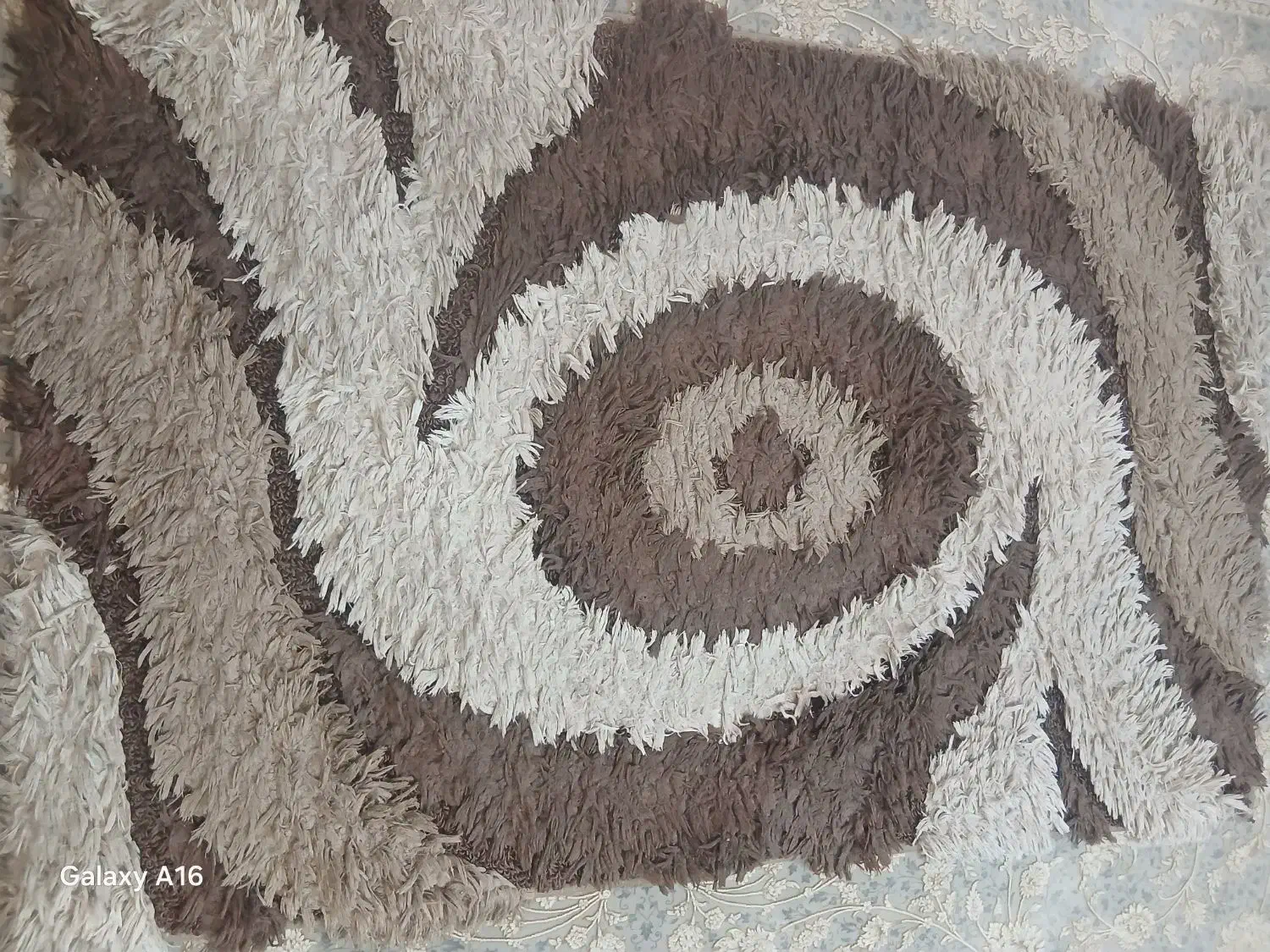 دو عدد قالیچه ۱/۵×۱|فرش|مشهد, چهارچشمه|دیوار